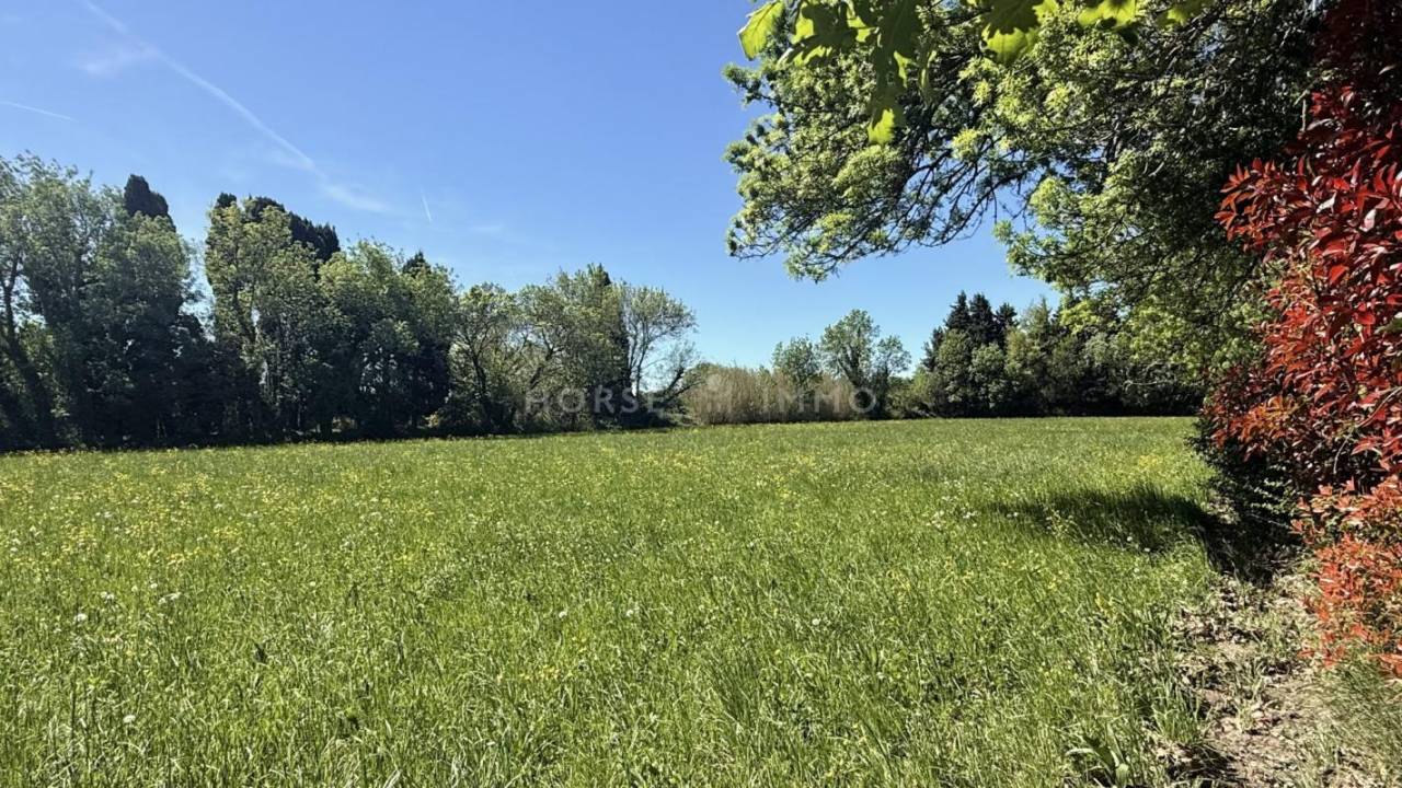 Belle propri&eacute;t&eacute; avec deux logements et d&eacute;pendances