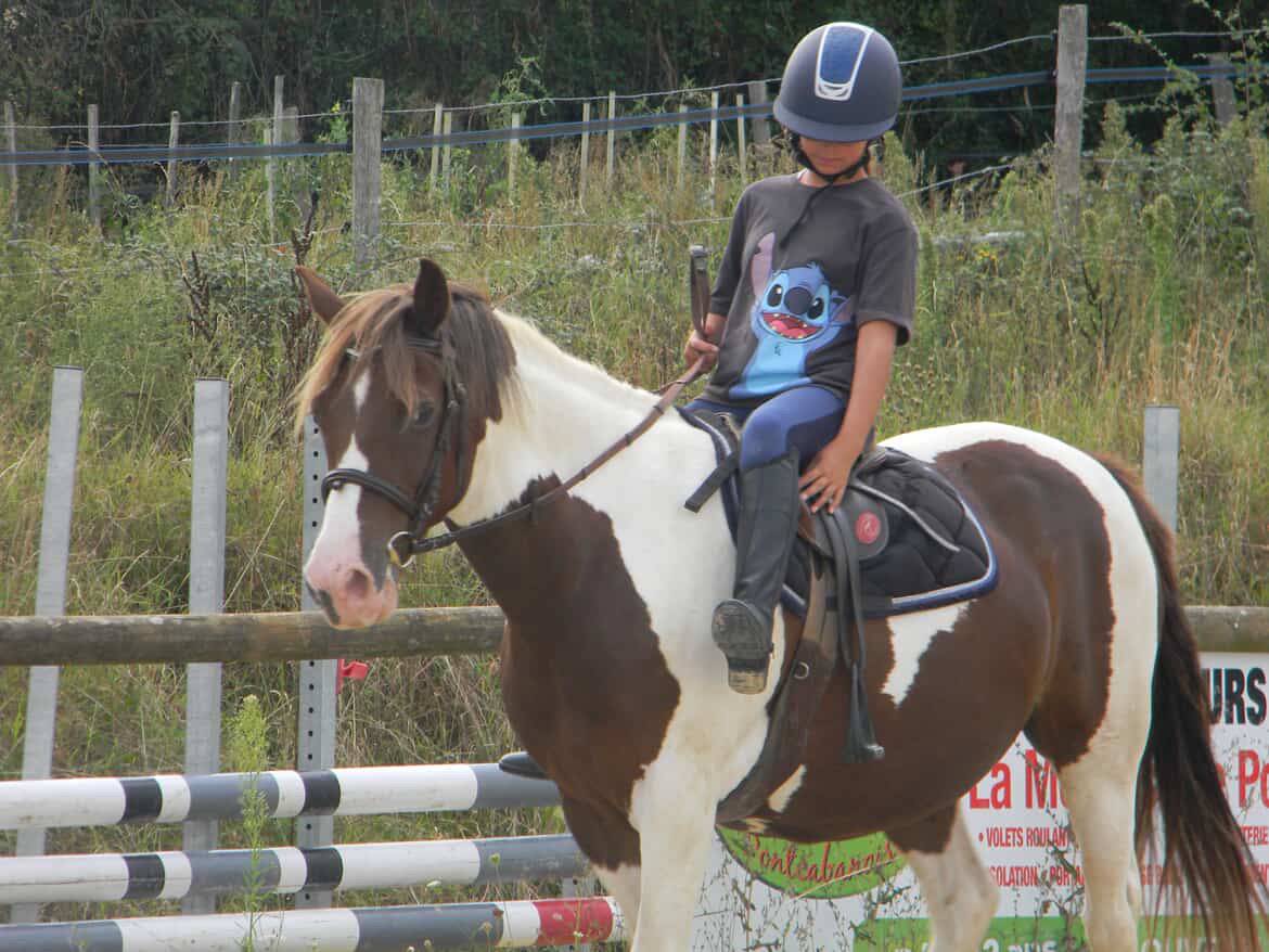 Ponette d&rsquo;1m39 a vendre 2500&euro; n&eacute;gociable 