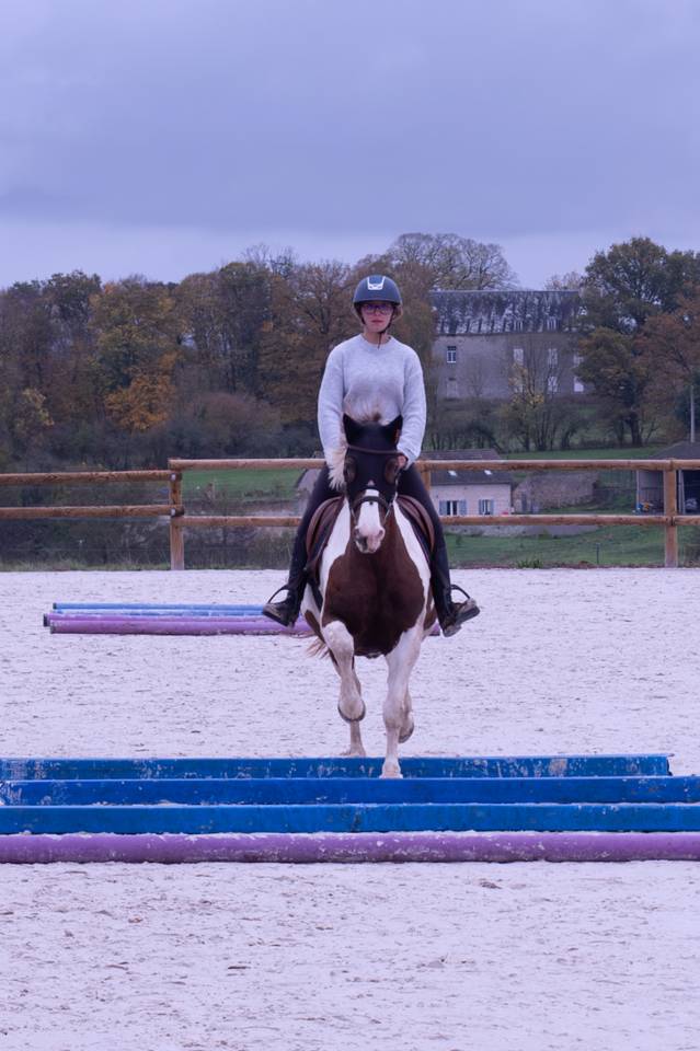 Ponette d&rsquo;1m39 a vendre 2500&euro; n&eacute;gociable 