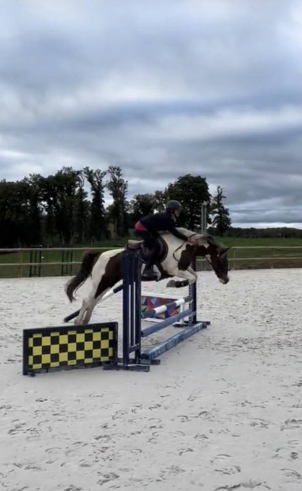 Ponette d&rsquo;1m39 a vendre 2500&euro; n&eacute;gociable 