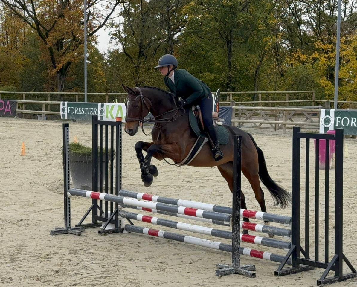 JUMENT SF PAR L'ARC DE TRIOMPHE
