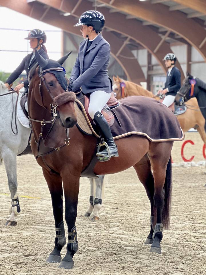 &Agrave; vendre jument de sport 8 ans 