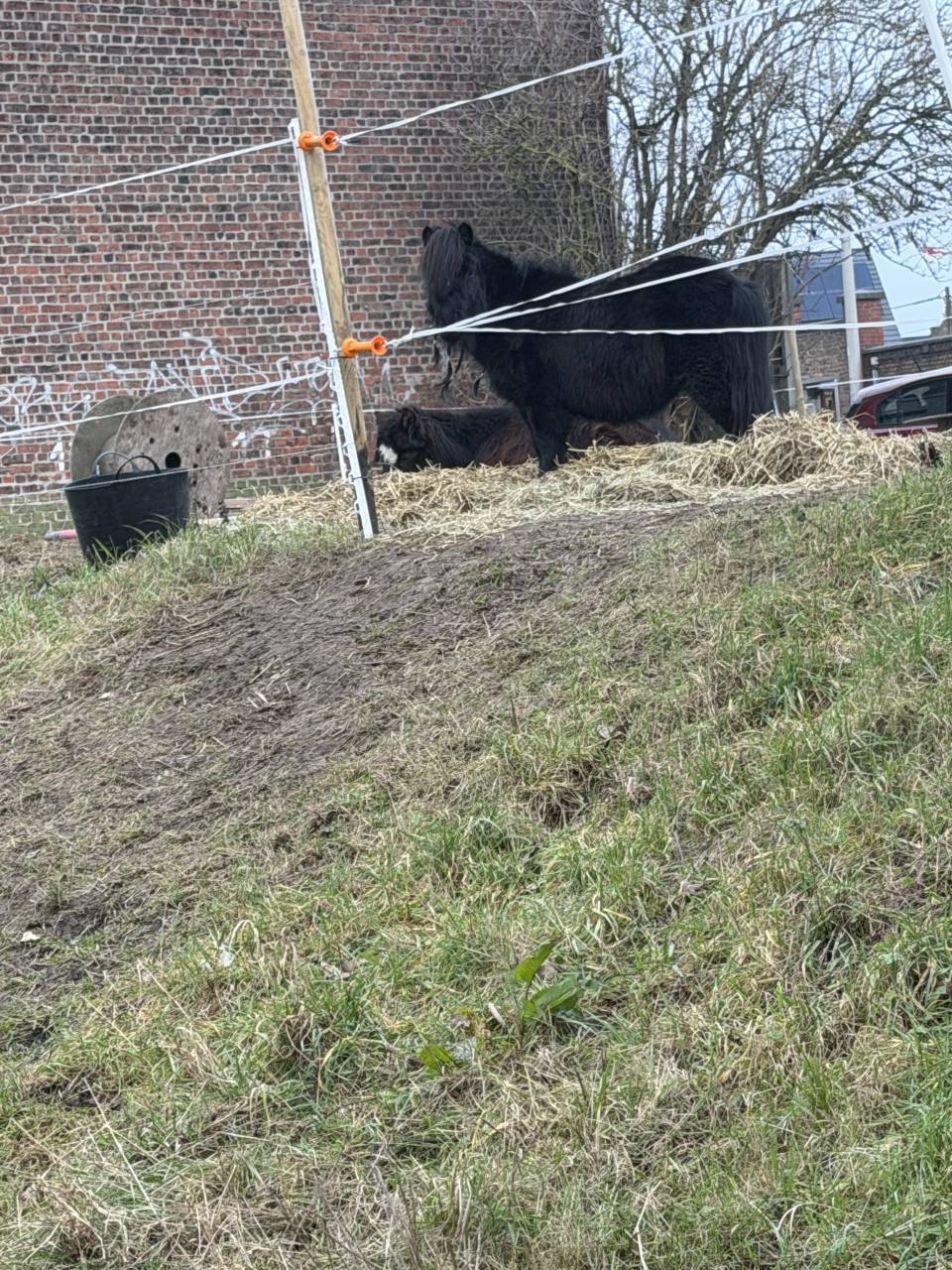 Shetland noir 6ans 85cm