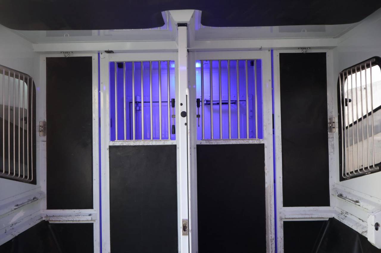 VL MTM FILOVAN MASTER STALLE 165CH 5 PLACES 