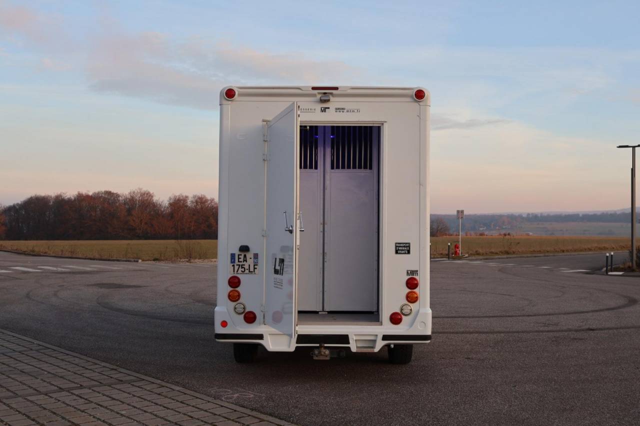 VL MTM FILOVAN MASTER STALLE 165CH 5 PLACES 