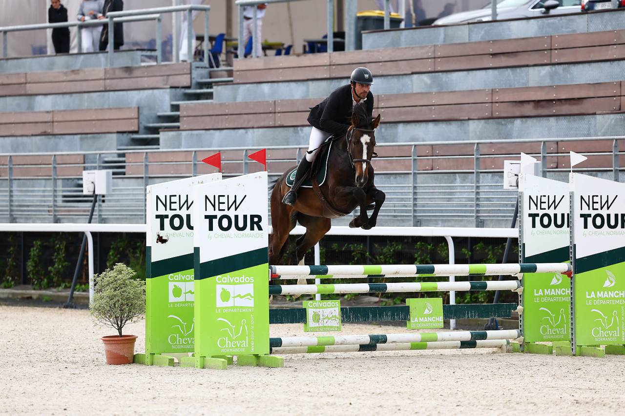 Jument de 5 ans pour CSO