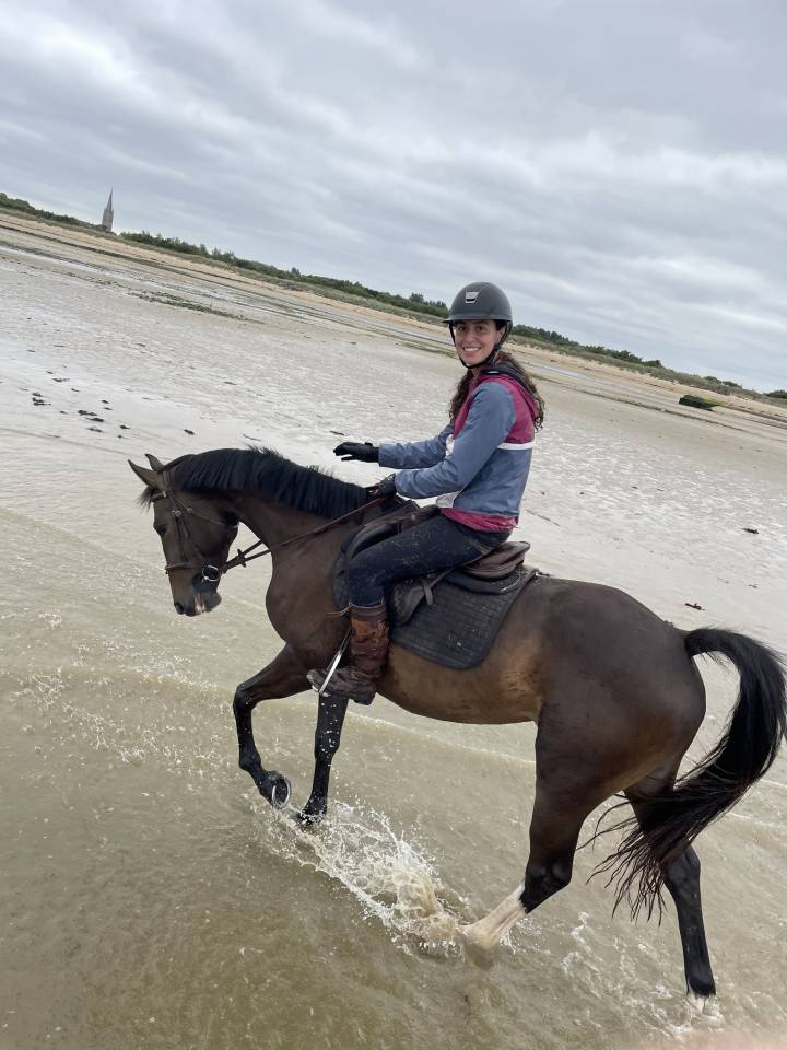 Jument de 5 ans pour CSO