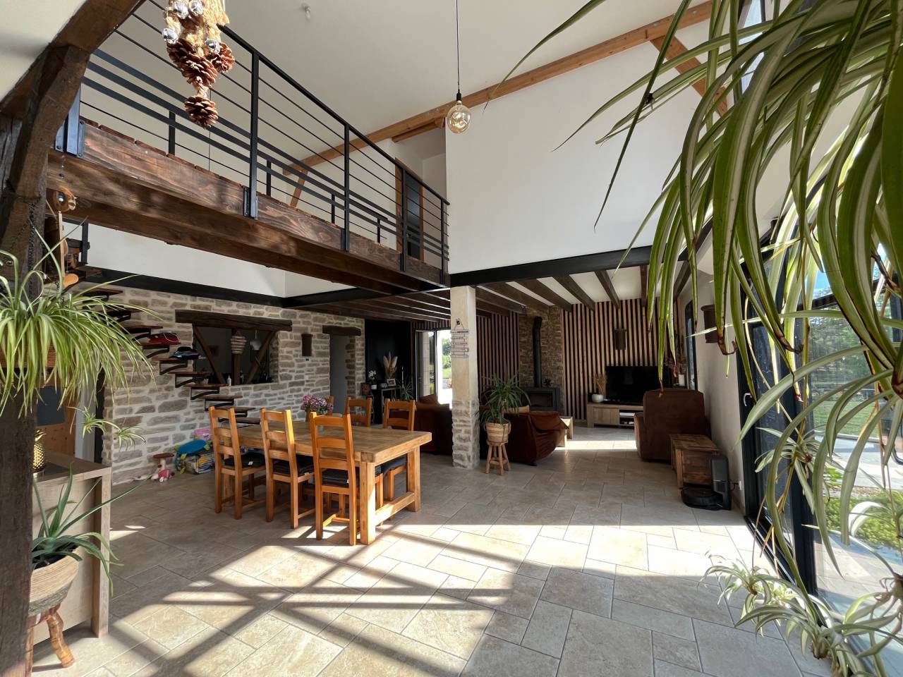 haras avec box, paddocks,piste et  maison neuve 