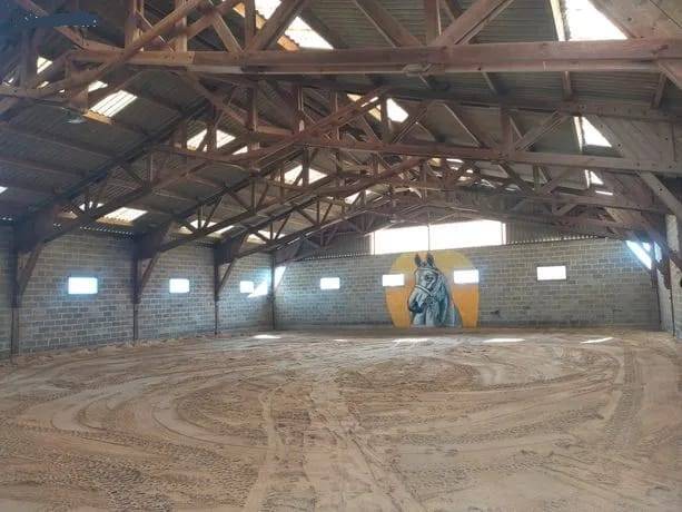 haras avec box, paddocks,piste et  maison neuve 