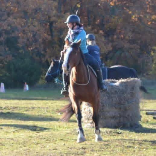 ✨ Accompagnement &eacute;thologique personnalis&eacute;
