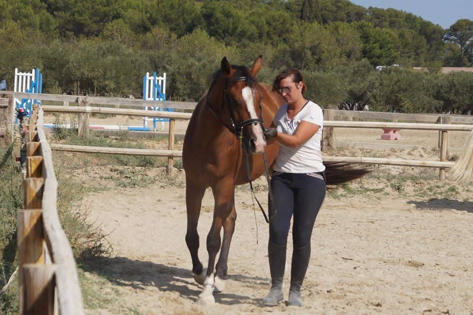 ✨ Accompagnement &eacute;thologique personnalis&eacute;