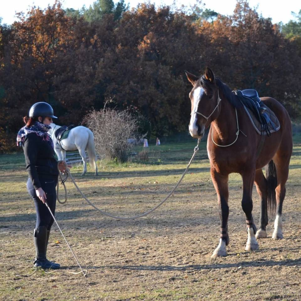 ✨ Accompagnement &eacute;thologique personnalis&eacute;