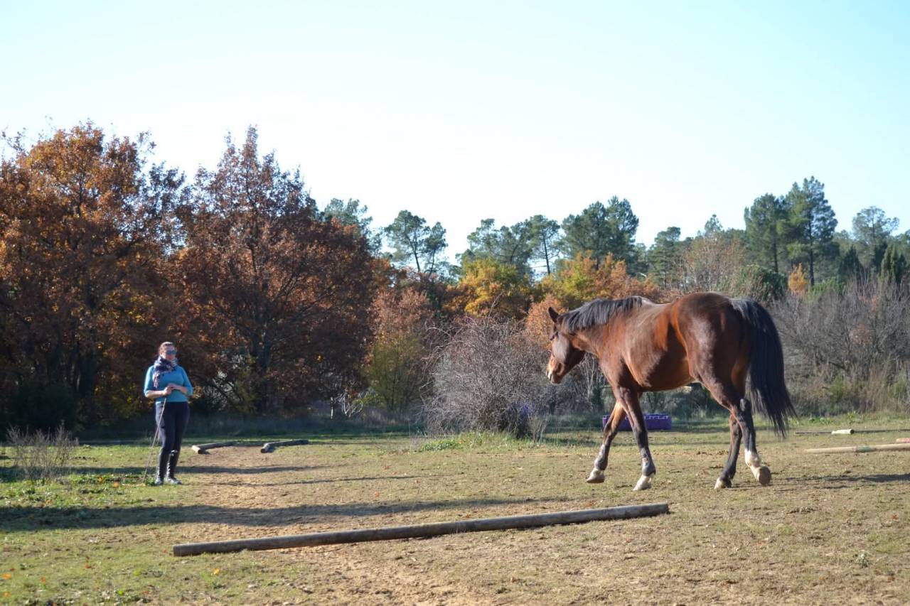 ✨ Accompagnement &eacute;thologique personnalis&eacute;