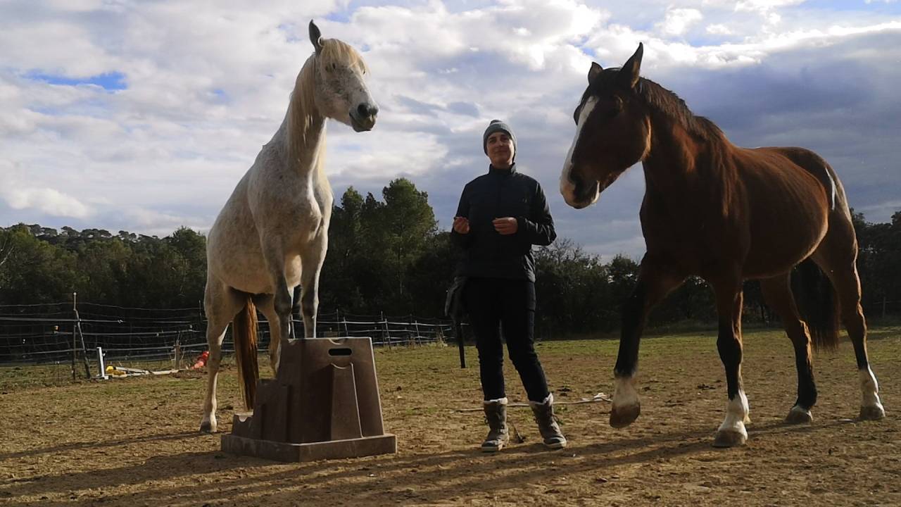 Ponette &agrave; donner contre bons soins