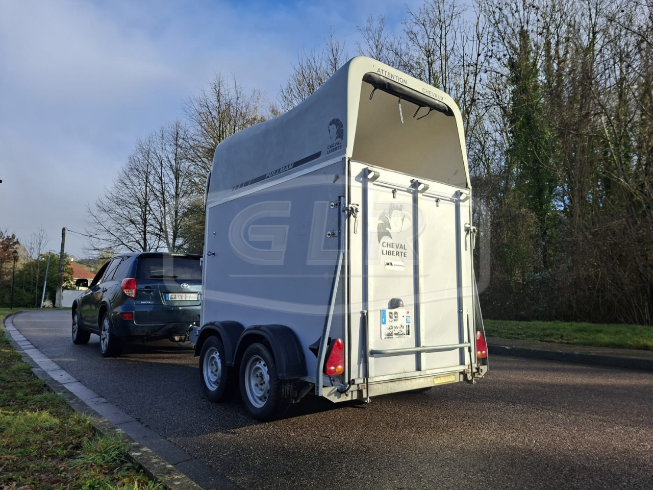 VAN OCCASION &ndash; CHEVAL LIBERTE &ndash; GOLD ONE &ndash; PULMANN &ndash;   1.5 PLACES - GRIS &ndash; 2014