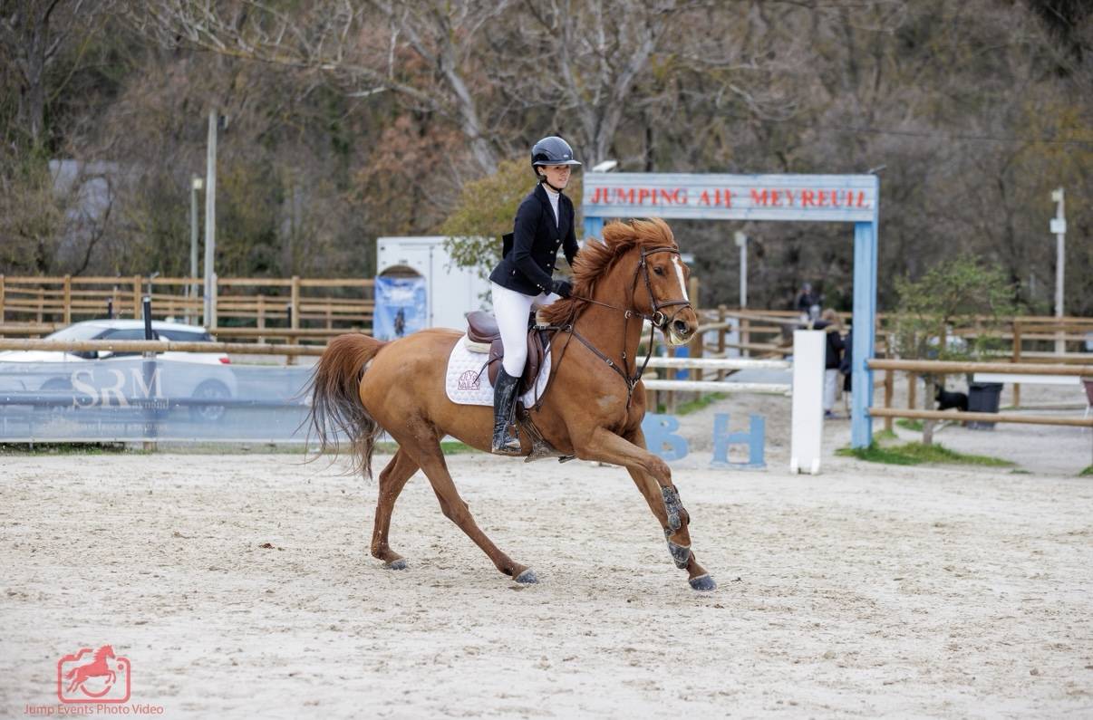 Top jument mod&egrave;le sport