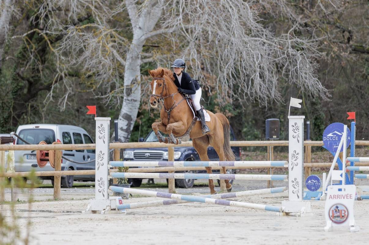 Top jument mod&egrave;le sport