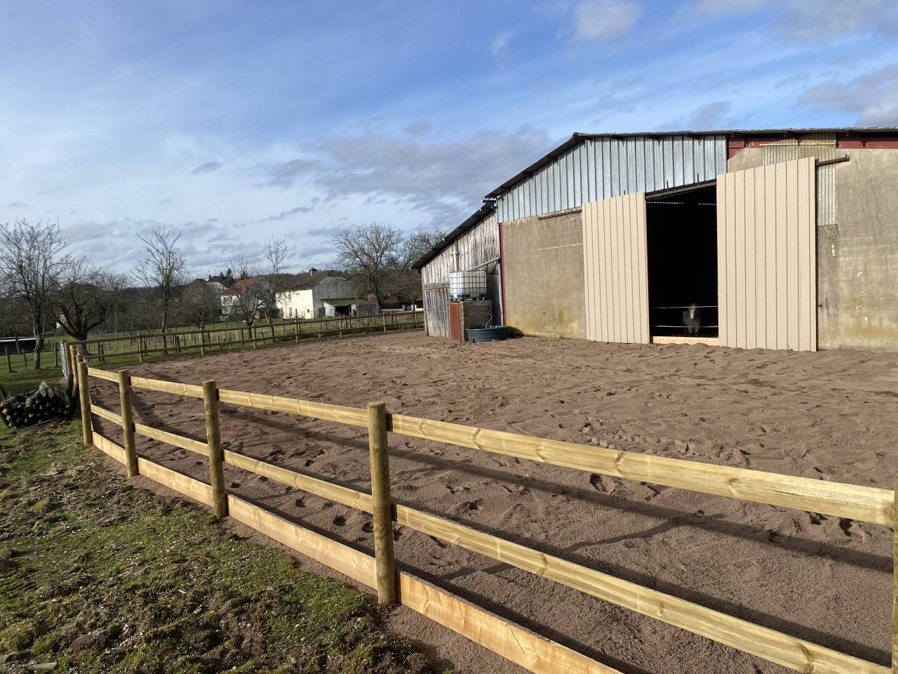 Pferdegerechte Pension mit Weiden & Offenstall 