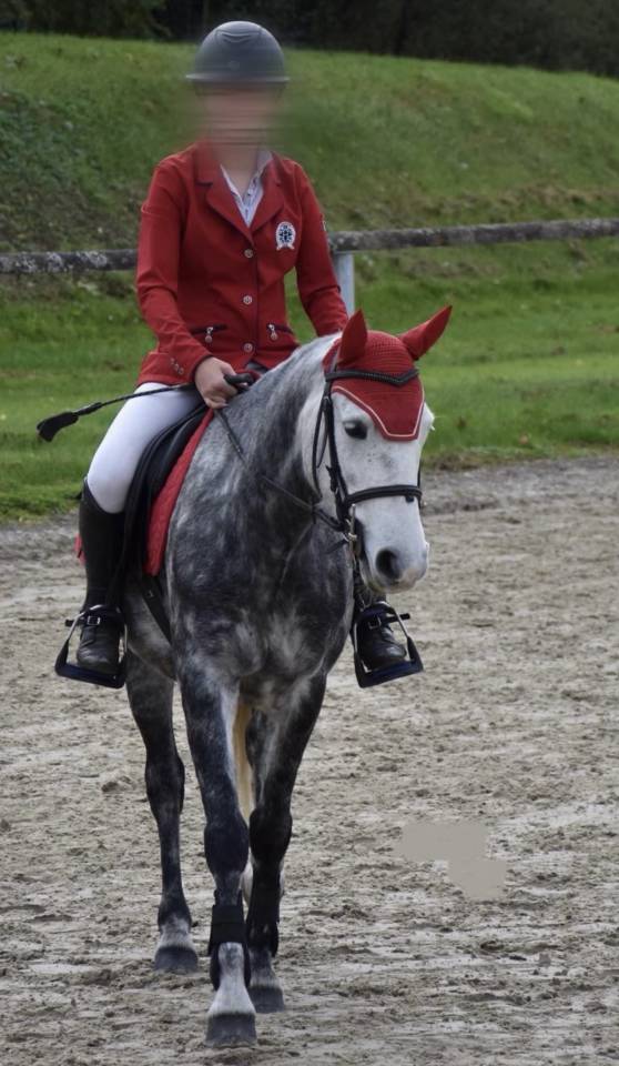  Poney 7 ans, 1m38, c&oelig;ur en or et potentiel sport