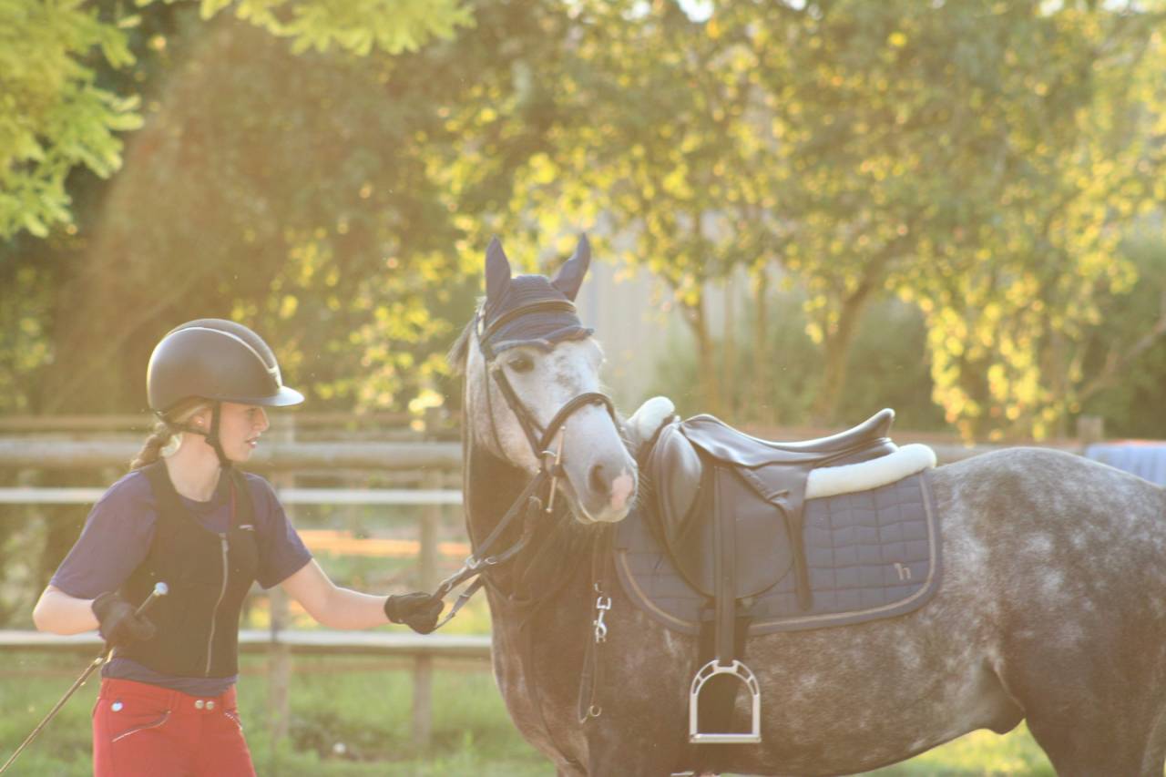  Poney 7 ans, 1m38, c&oelig;ur en or et potentiel sport