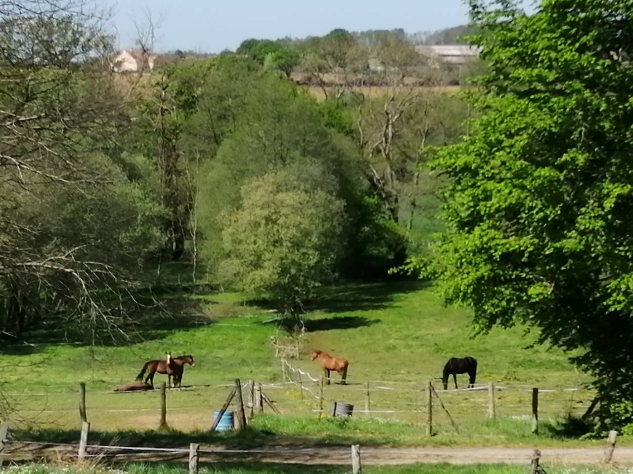 Loue maison 80 m&sup2; au sein d'une &eacute;curie, pr&egrave;s du Mans 72