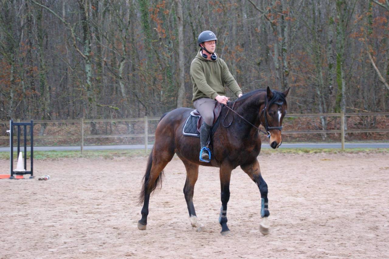 Top Cheval Amateur CCE