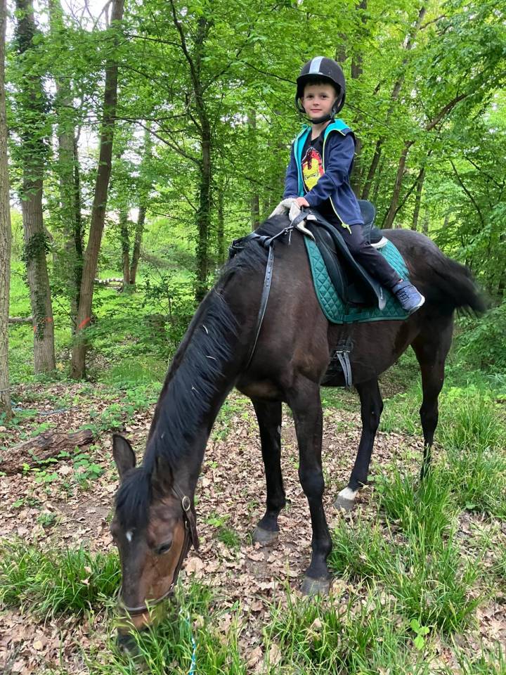 Jument senior adorable cherche cavalier(e) pour balades