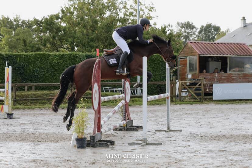 Jument 7 ans  &agrave; vendre 