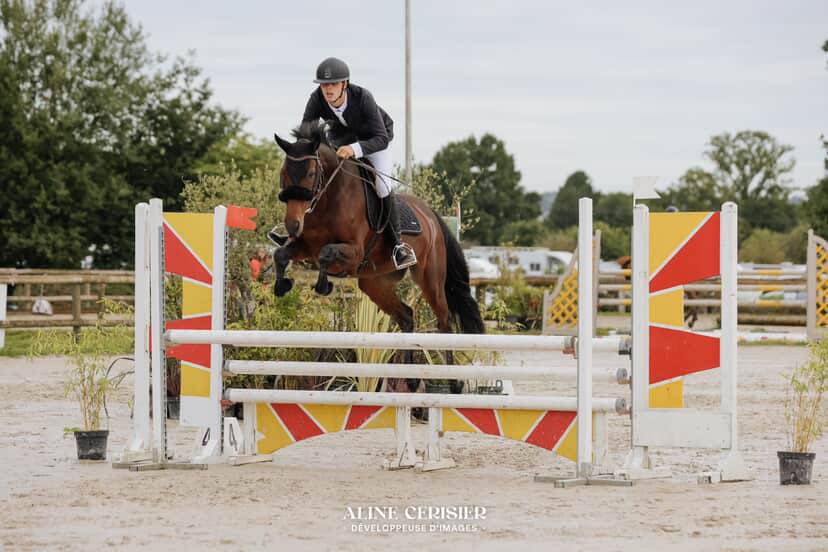 Jument 7 ans  &agrave; vendre 