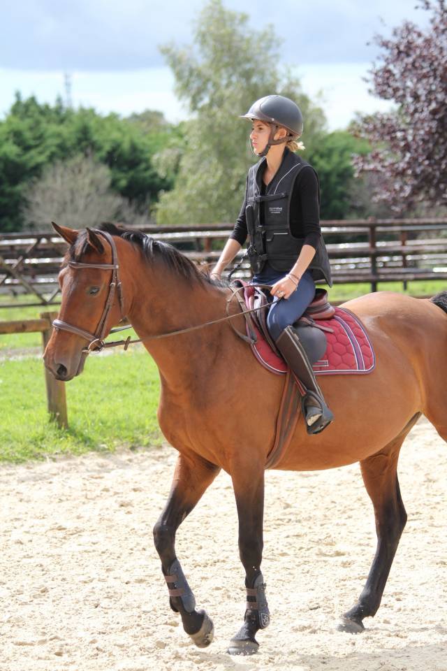 Jument 7 ans  &agrave; vendre 