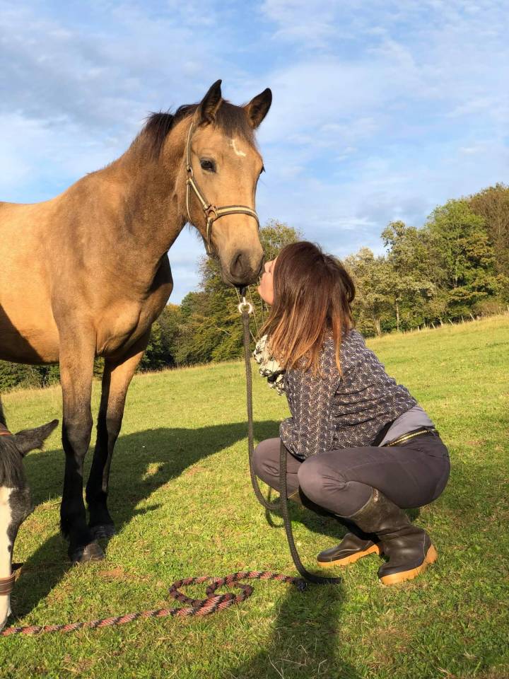 Kavali&egrave;re du cerneux jument poulini&egrave;re de 6 ans 