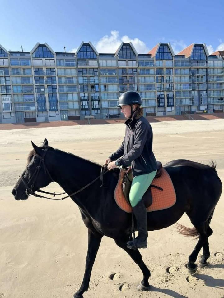 Relax pp paint horse