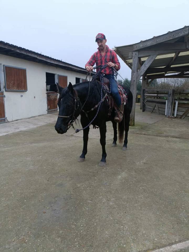 Relax pp paint horse