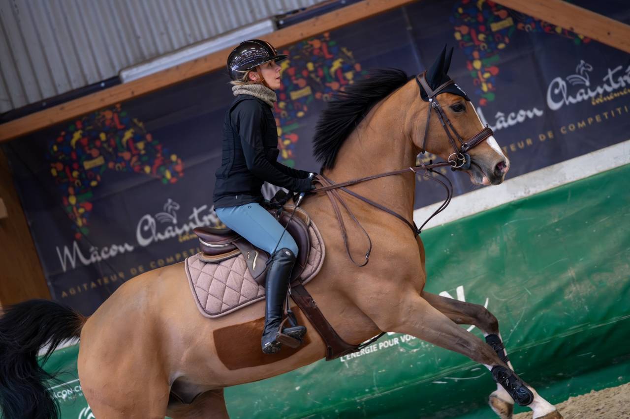 Hongre SF 12ans Orient&eacute; CSO, par Quite Easy