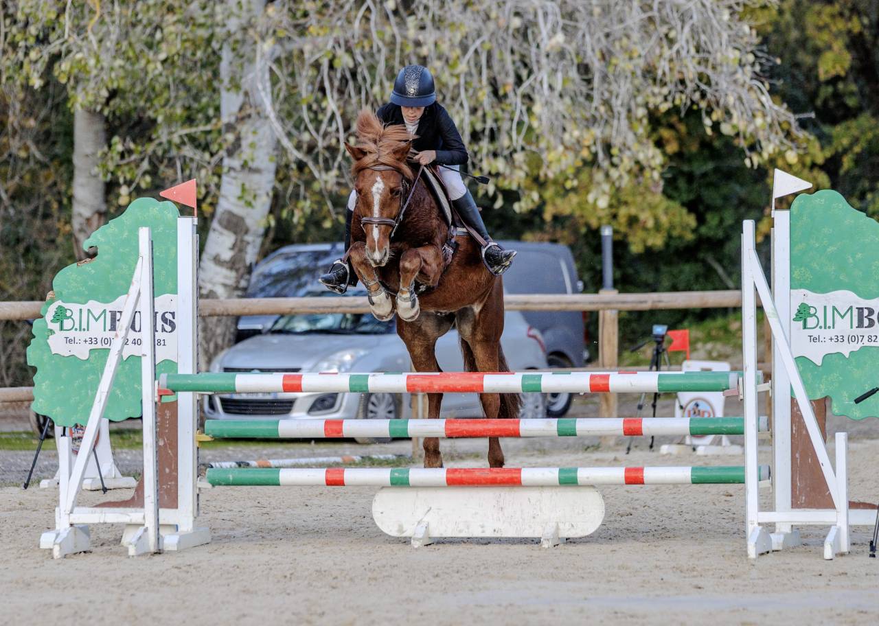 &Agrave; vendre PFS de 7 ans 