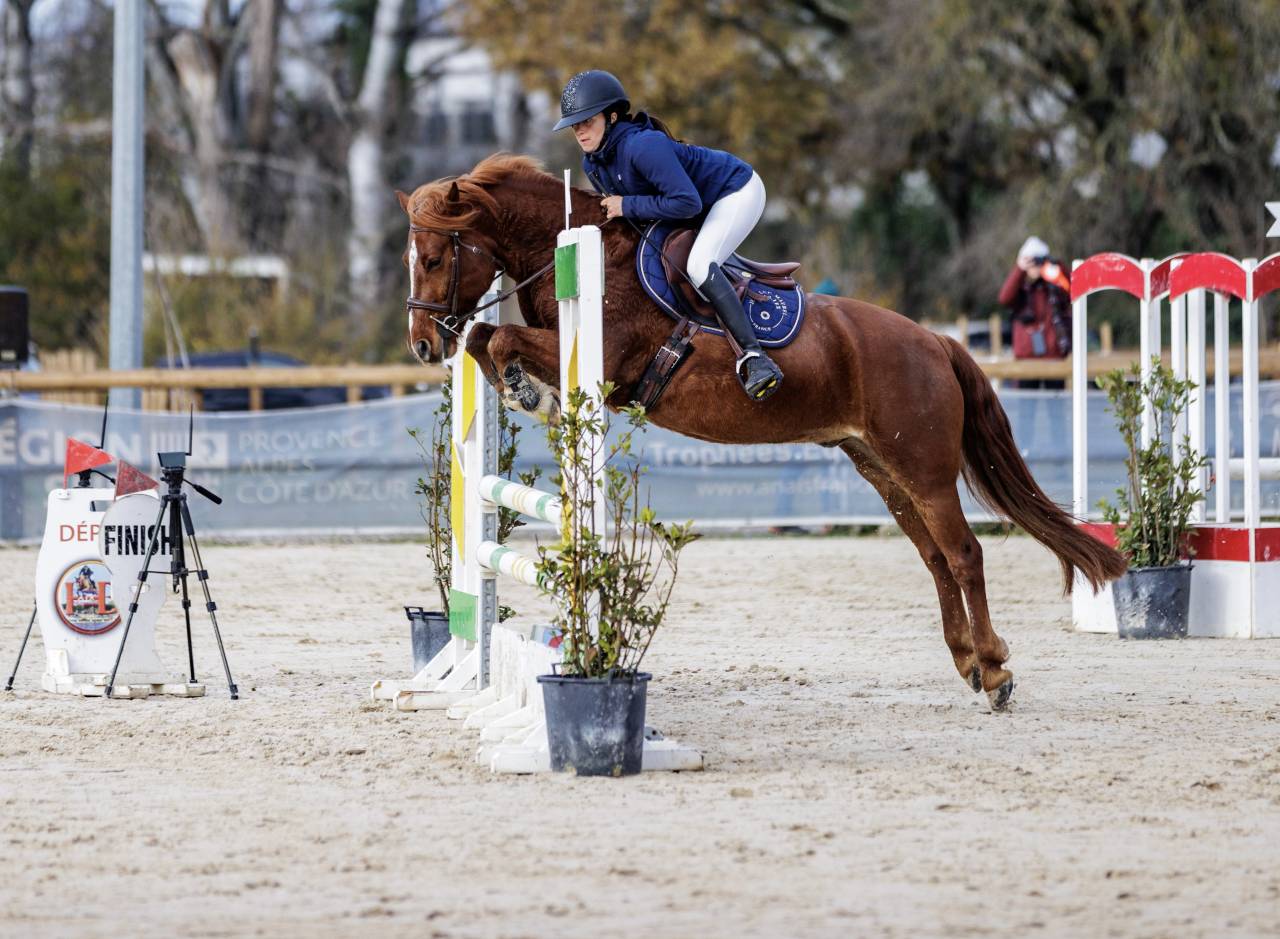 &Agrave; vendre PFS de 7 ans 