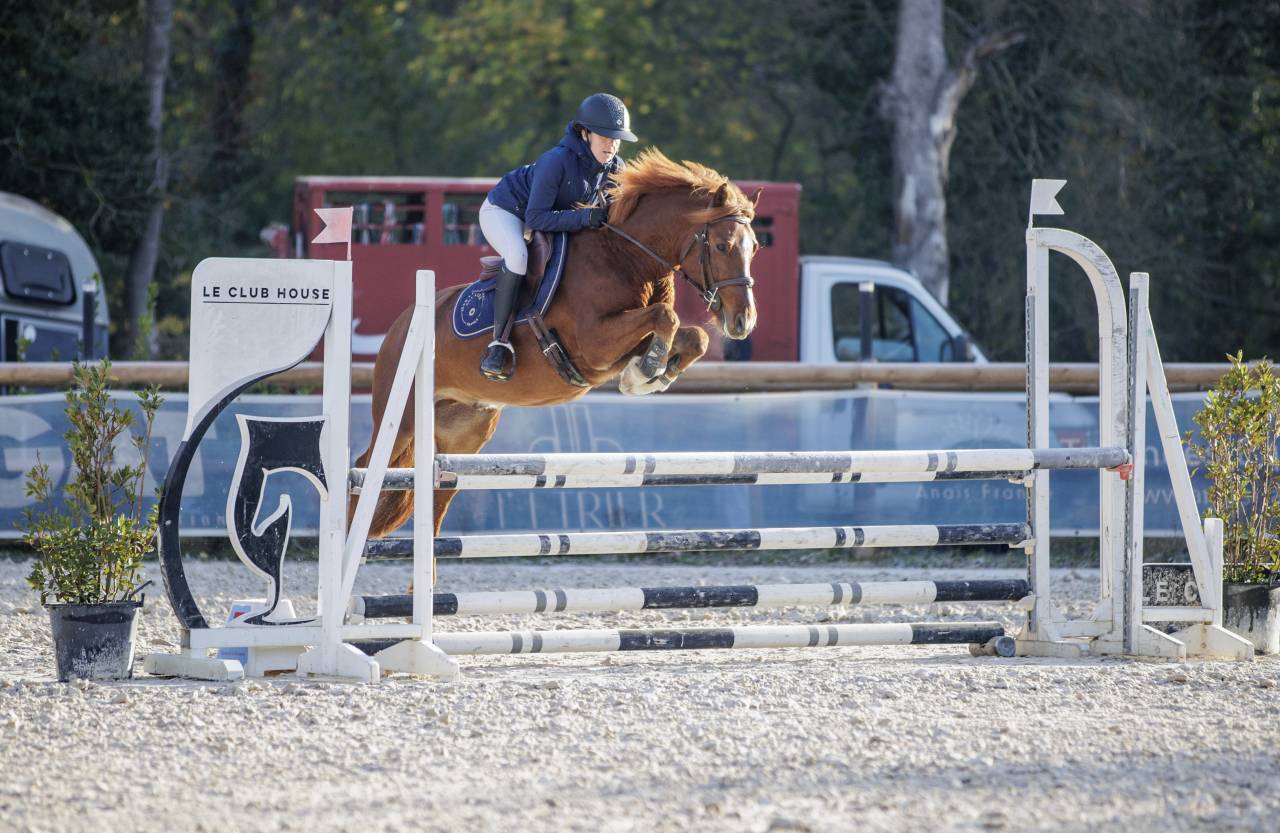 &Agrave; vendre PFS de 7 ans 