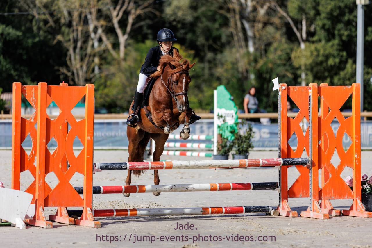 &Agrave; vendre PFS de 7 ans 