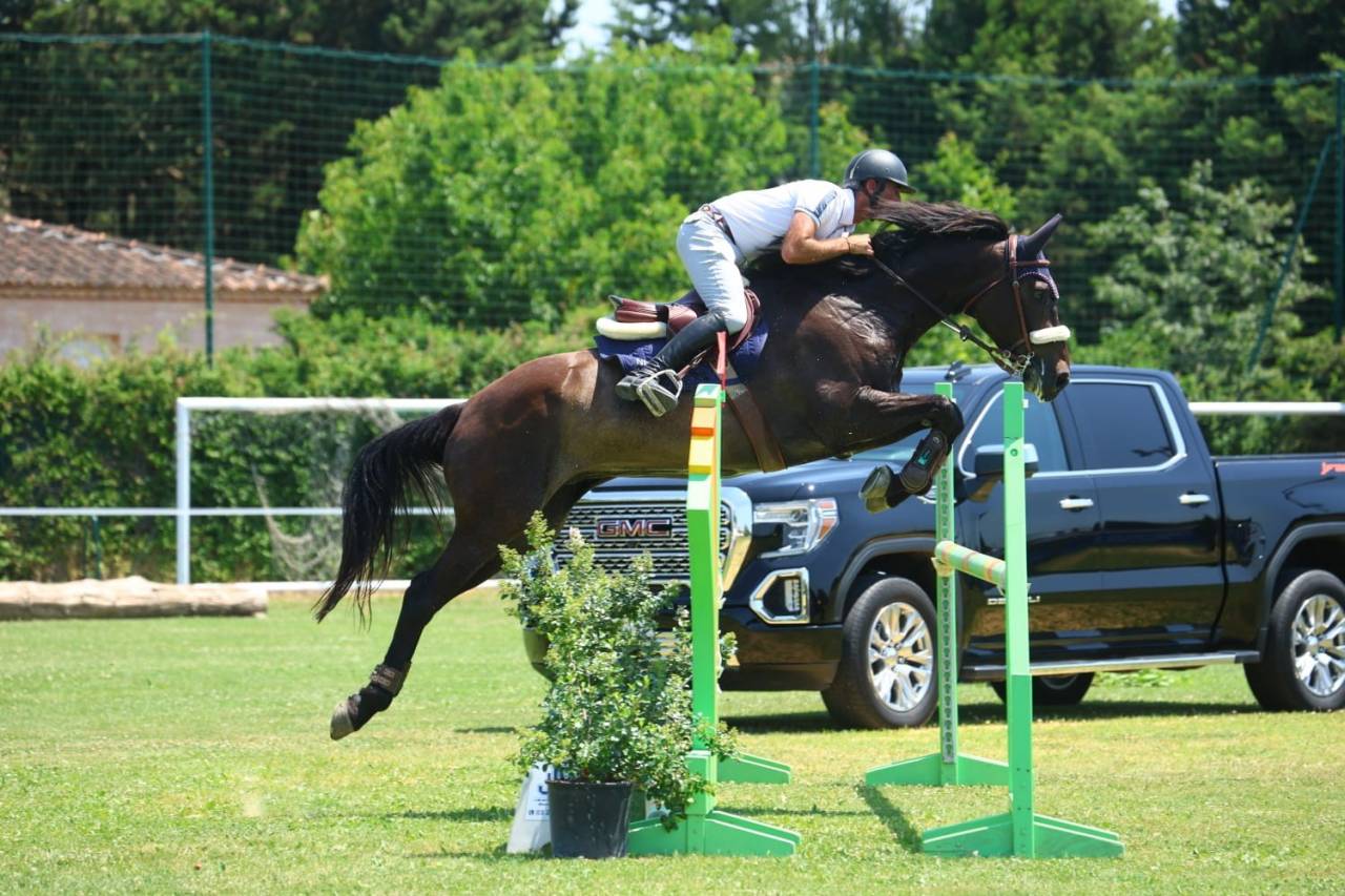 Magnifique selle fran&ccedil;ais 7 ans, beau potentiel CSO !