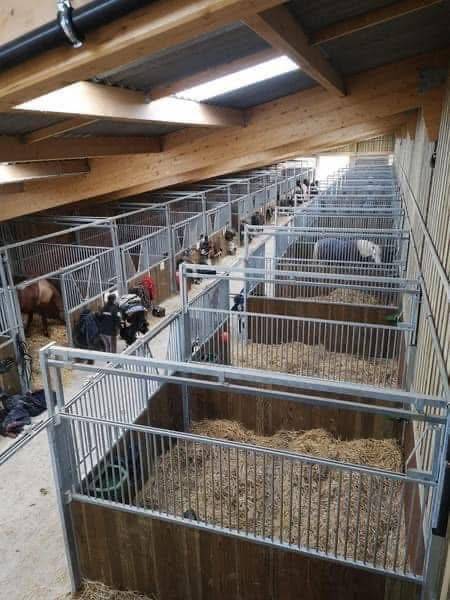 Haras des Blanpins pr&eacute; box 7j/7