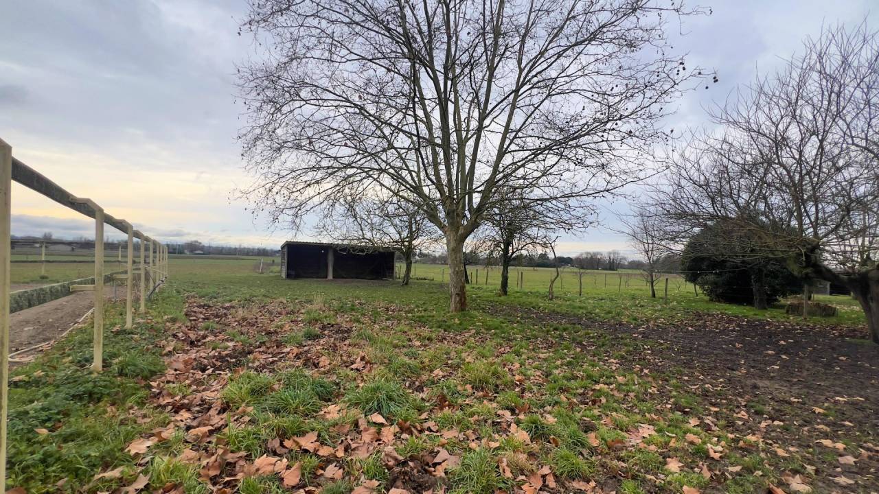 Tarn-et-Garonne Propri&eacute;t&eacute; &eacute;questre de 3,2 hectares (82)