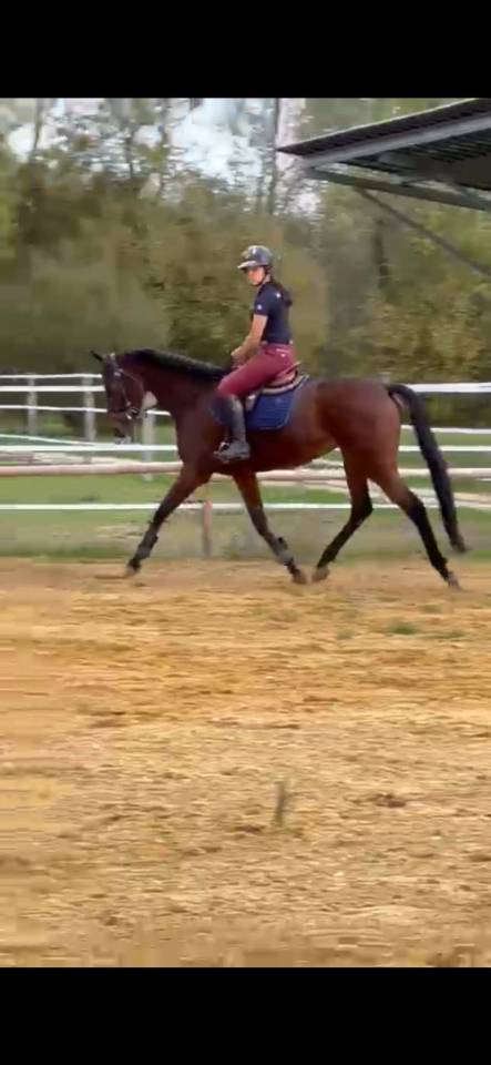 Poulini&egrave;re AQPS pleine