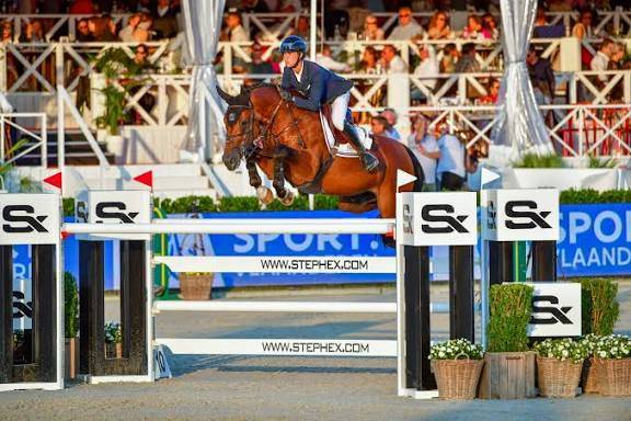 Jument id&eacute;ale pour l&rsquo;&eacute;levage 