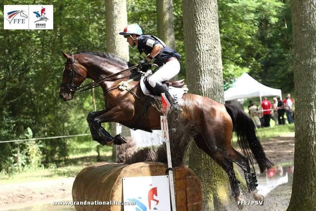 Pouliche excellentes origines