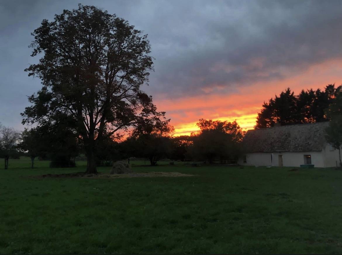 Bel ensemble agricole 