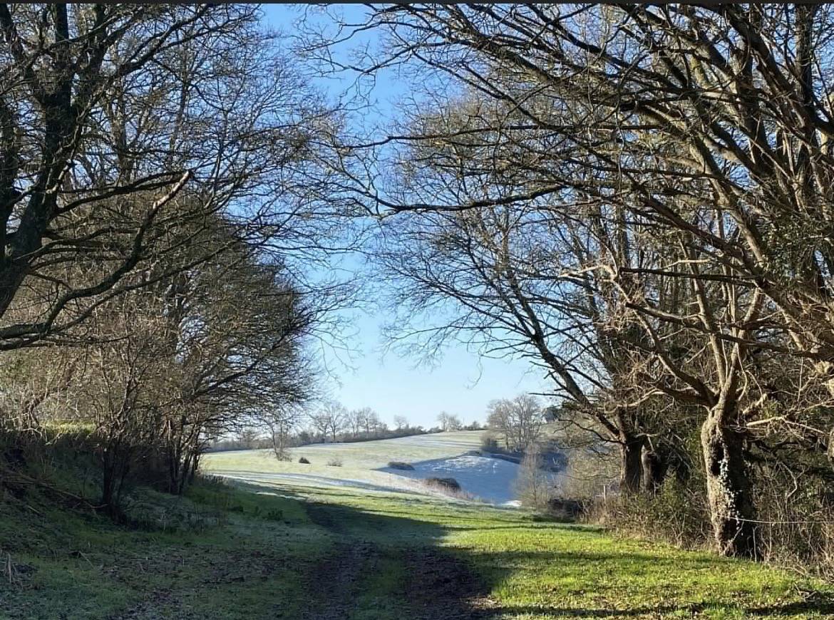 Bel ensemble agricole 