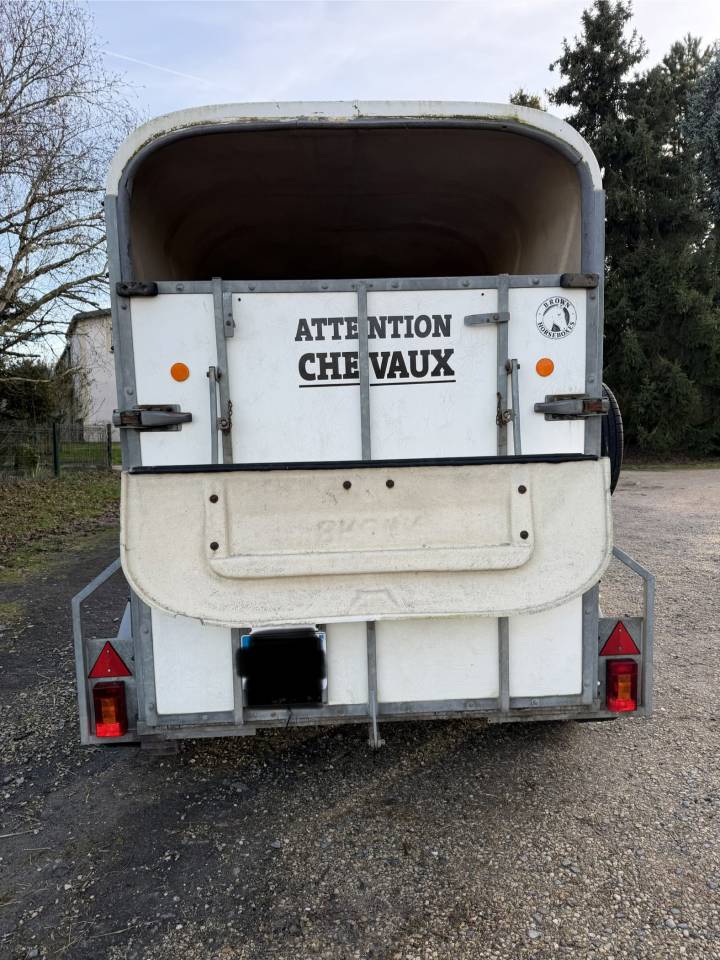 Van Brown 2 places avec sellerie 