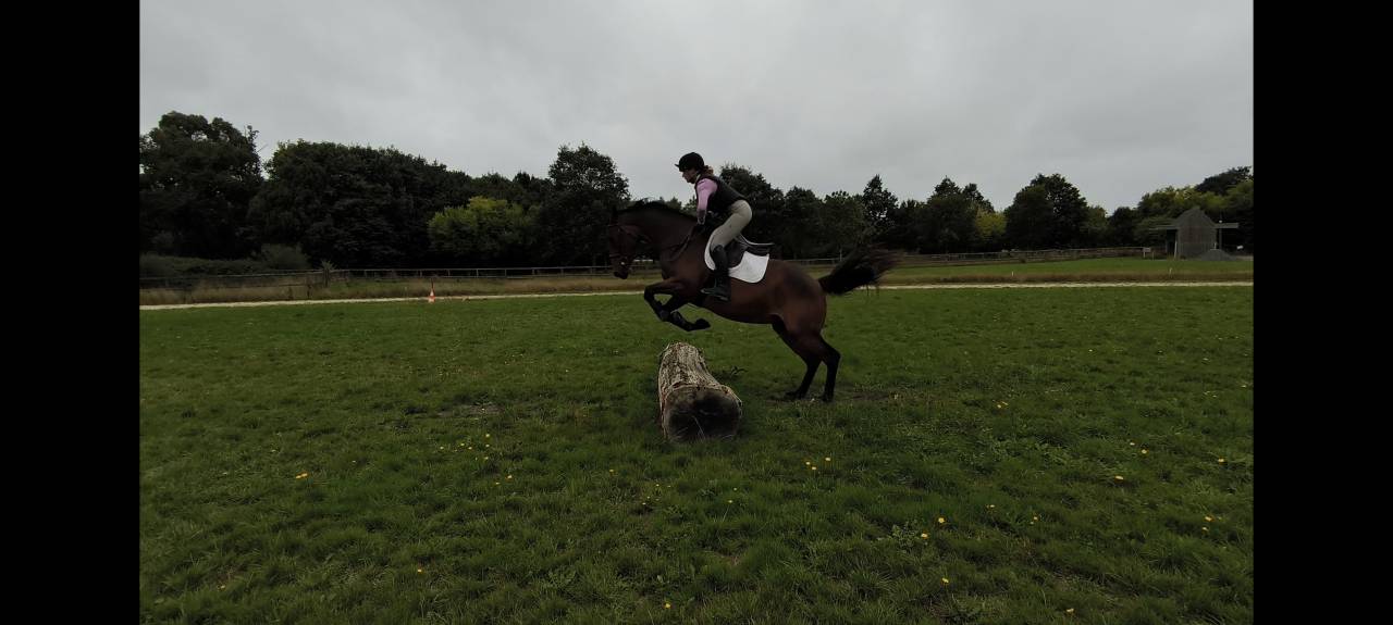 Iligan - jument SFO 8 ans