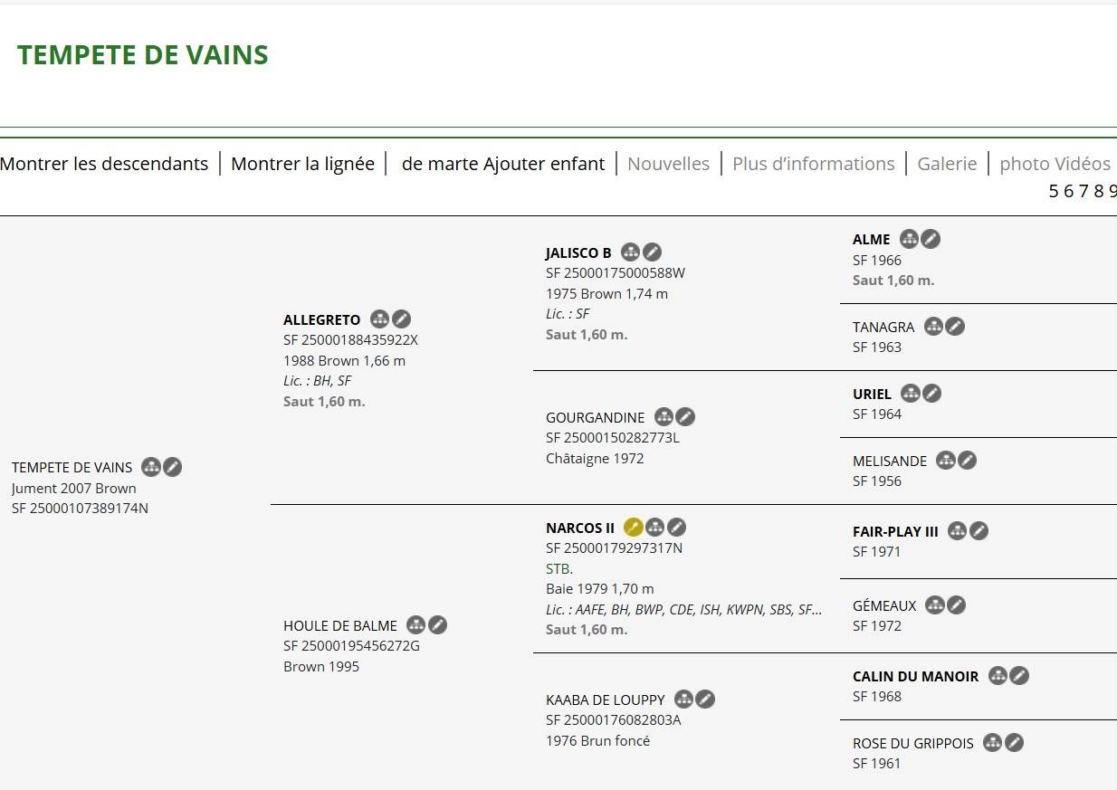 pouliniere n&eacute;e en 2007 par Allegreto 8 points pace
