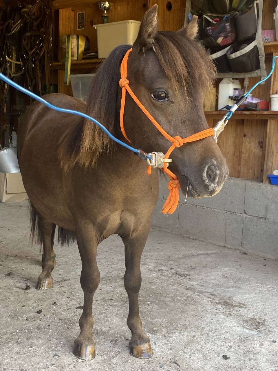 Entier Oc type NMPRS 